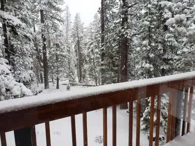 20190516_063236 (Large).jpg